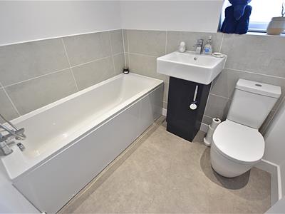 Picture 23